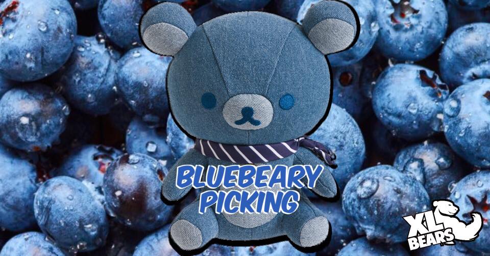 bluebeary